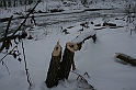 Bieszczady 12.2007 019